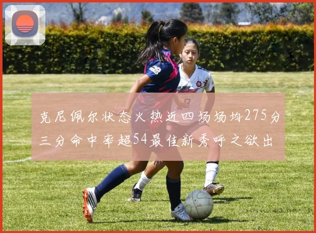 克尼佩尔状态火热近四场场均275分三分命中率超54最佳新秀呼之欲出